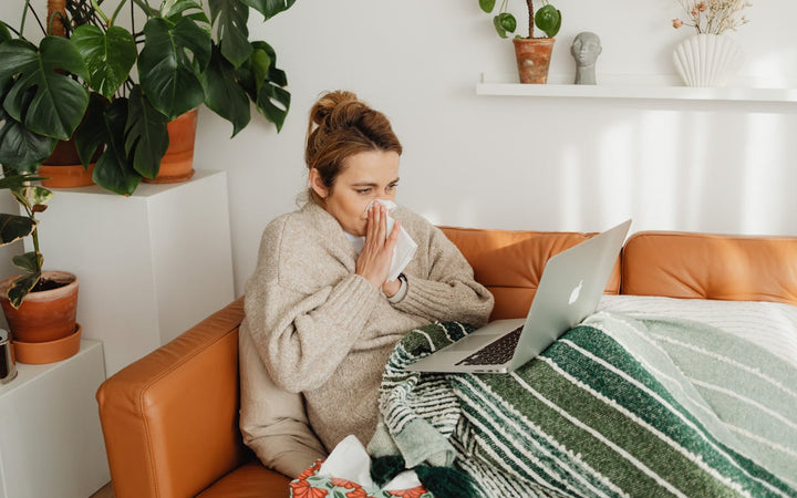 Stay Protected During Flu Season